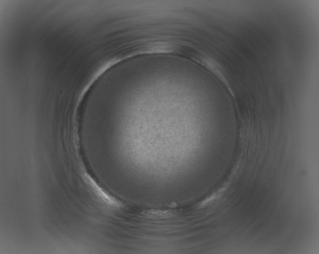 X0000053050835200507111124