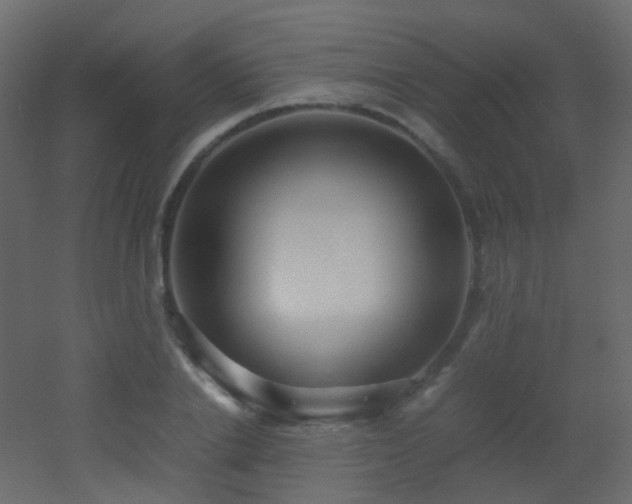 X0000053050838200507111124
