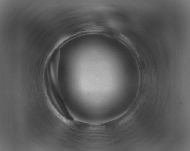 X0000053050843200507111124