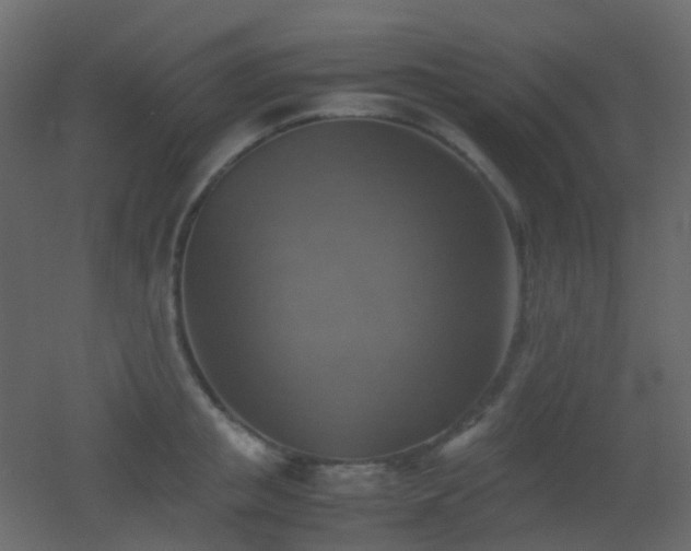 X0000053050853200507111124