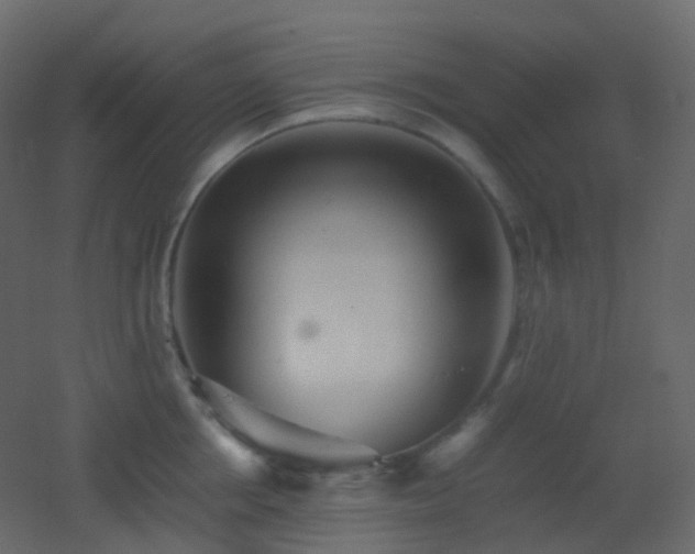 X0000053050858200507111124