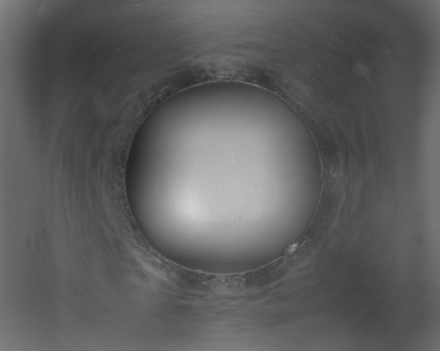 X0000053050865200507111123