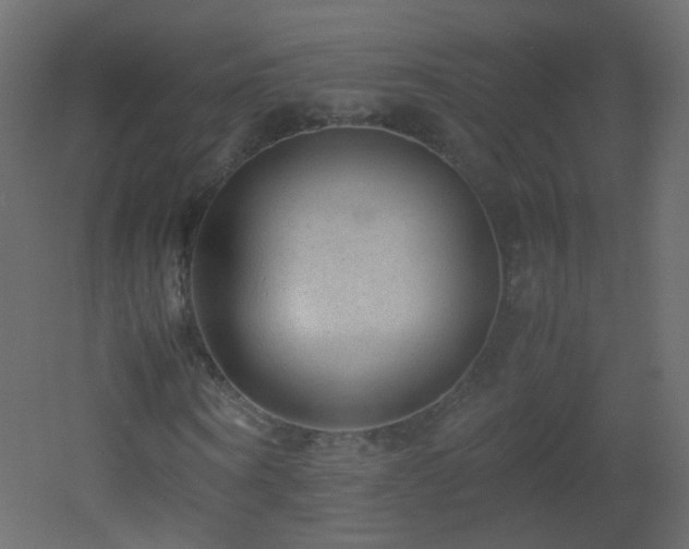 X0000053050866200507111123