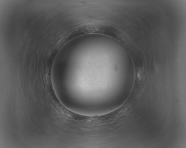 X0000053050867200507111123