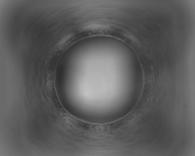 X0000053050869200507111123