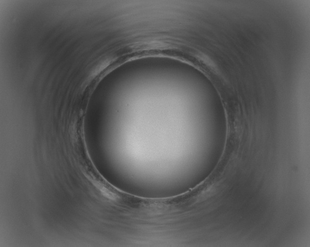 X0000053050873200507111123
