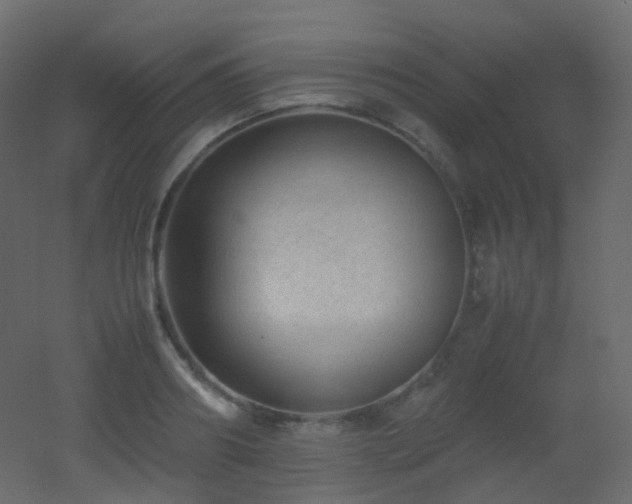 X0000053050890200507111123
