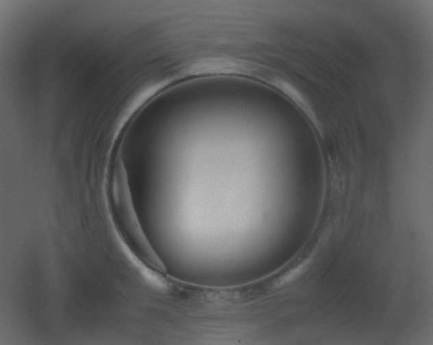 X0000053050901200507111123