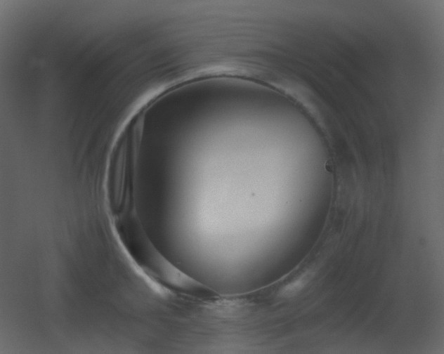 X0000053050902200507111123