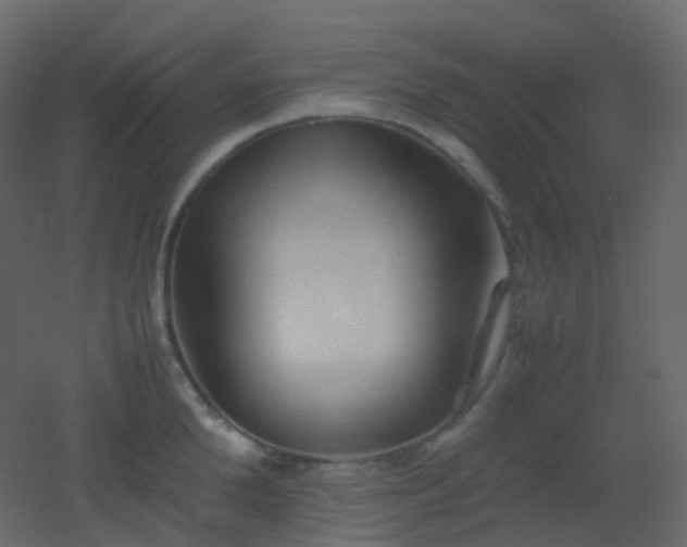 X0000053050904200507111123