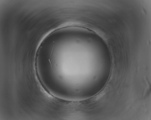 X0000053050912200507111123