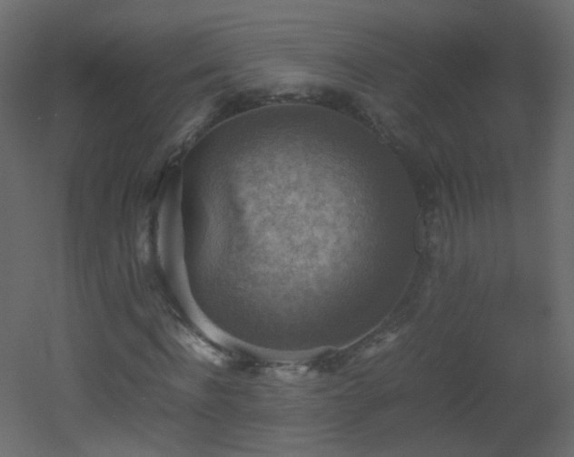 X0000053050916200507111122