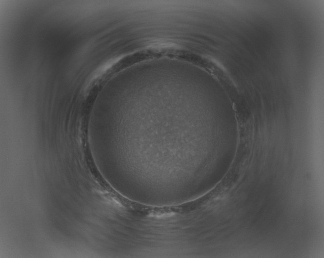 X0000053050919200507111122