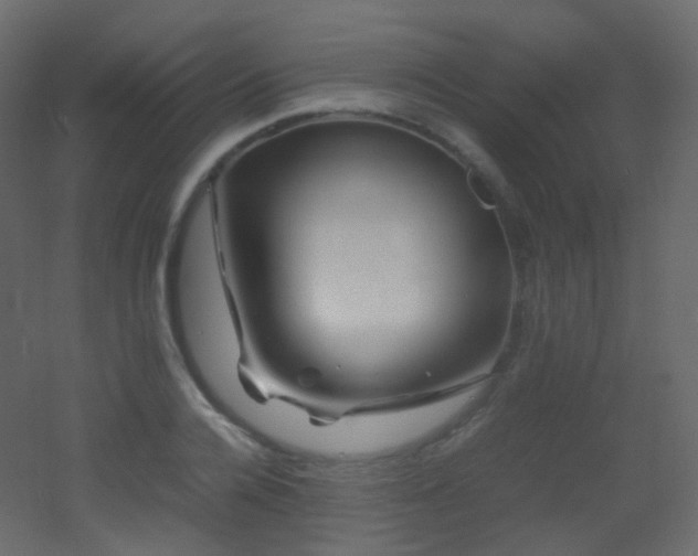 X0000053050936200507111122
