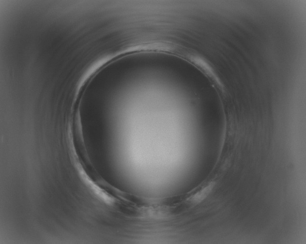 X0000053050952200507111122