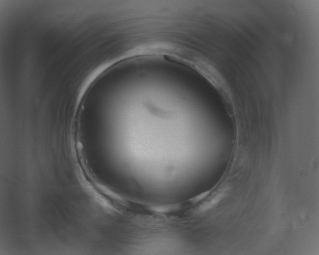 X0000053050960200507111123