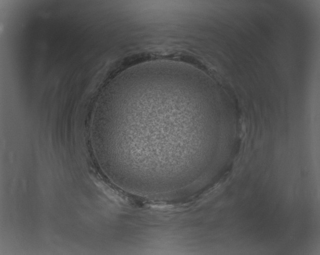 X0000053050961200507111122