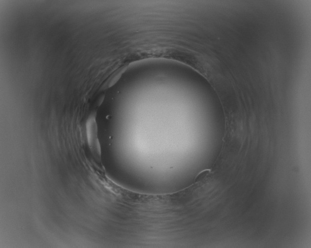 X0000053050962200507111122