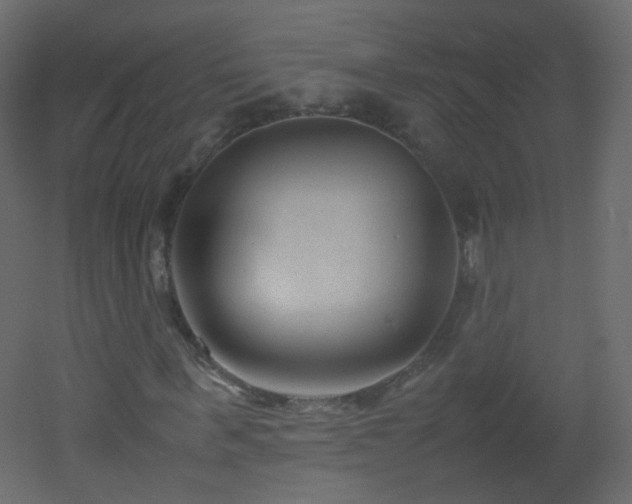 X0000053050963200507111122
