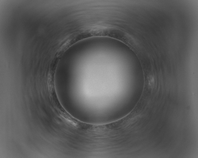 X0000053050964200507111122