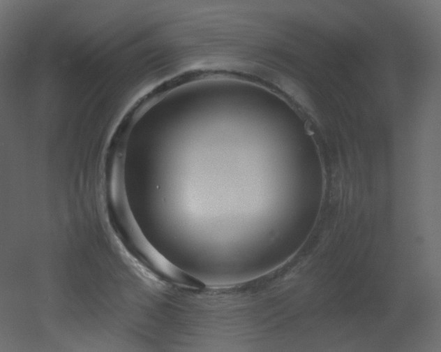 X0000053050976200507111121