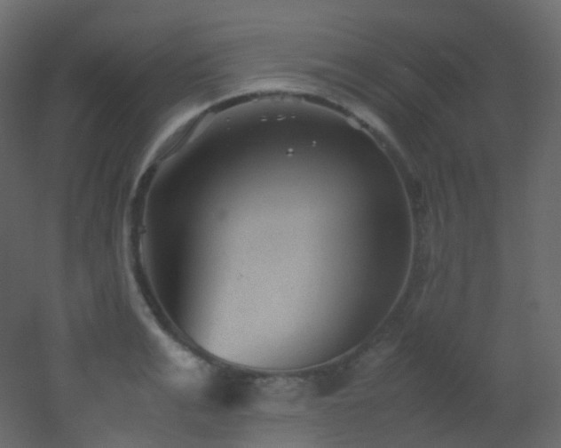 X0000053050991200507111121