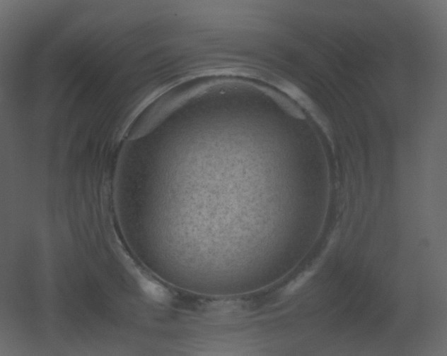 X0000053050993200507111121