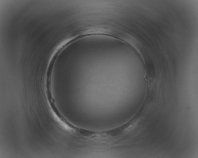 X0000053050995200507111121