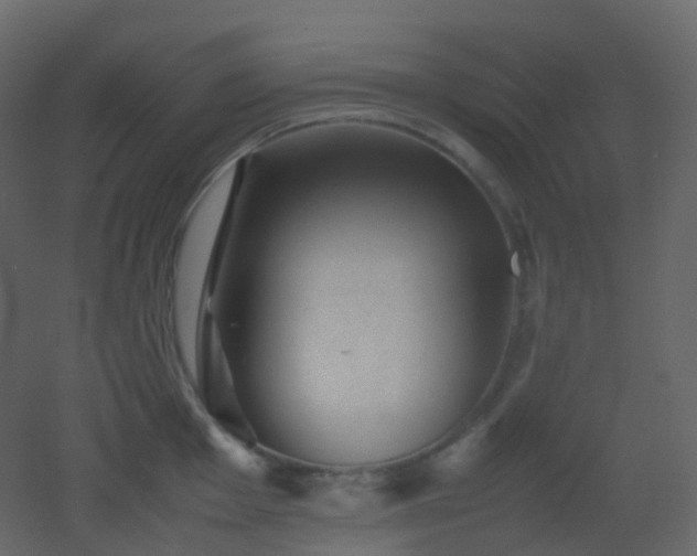 X0000053051001200507111121