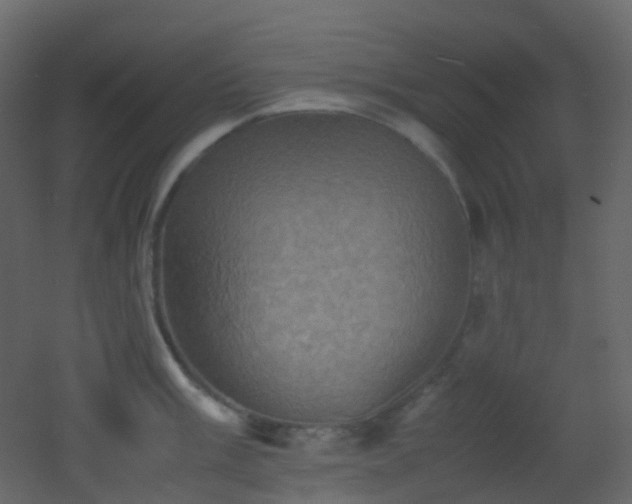 X0000053051003200507111121