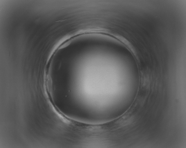 X0000053051006200507111121