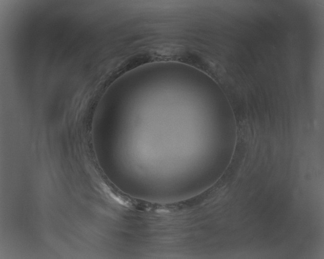 X0000053051009200507111120