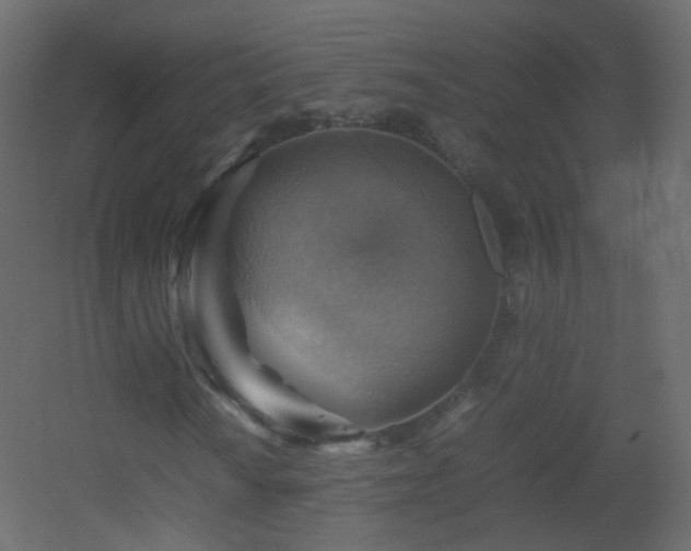 X0000053051010200507111120