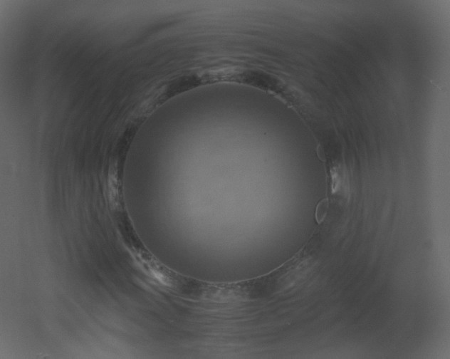 X0000053051011200507111120
