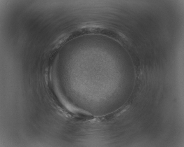X0000053051014200507111120