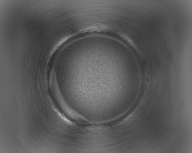 X0000053051018200507111120