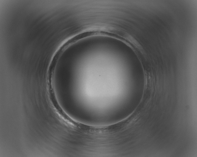 X0000053051020200507111120