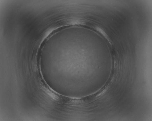 X0000053051023200507111120