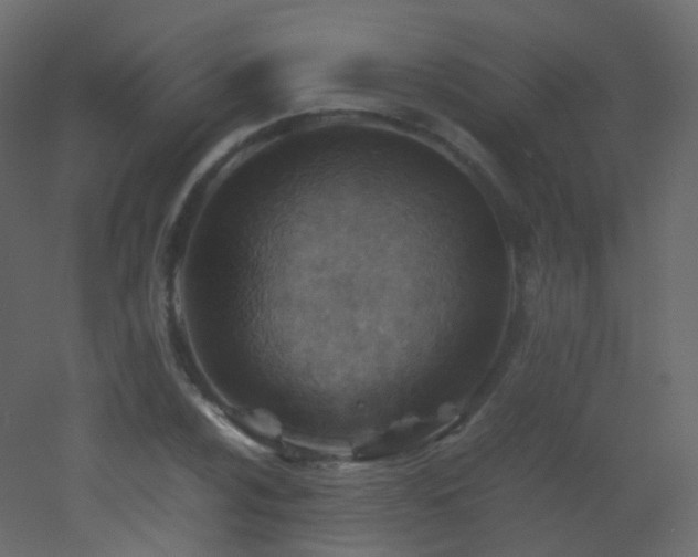 X0000053051024200507111120