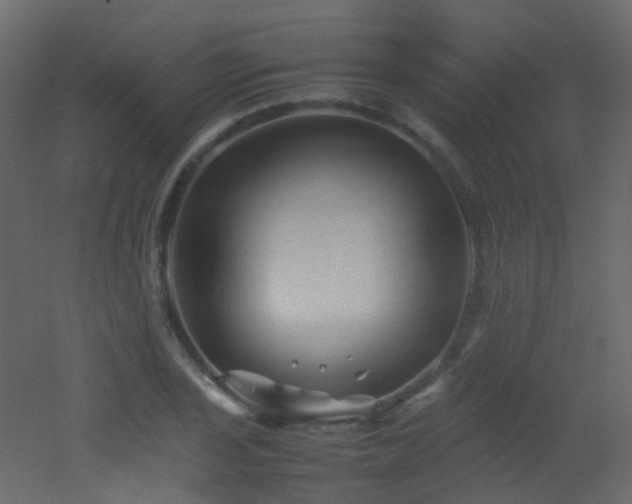 X0000053051029200507111120