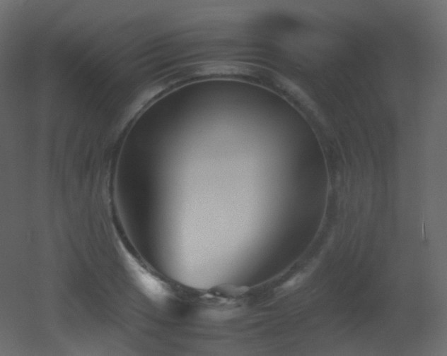 X0000053051033200507111121