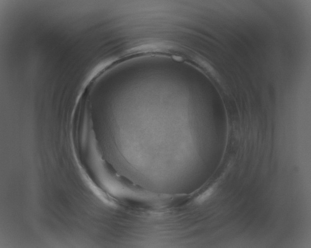 X0000053051034200507111121