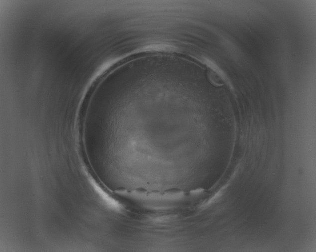 X0000053051037200507111121