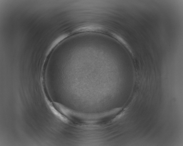 X0000053051042200507111121