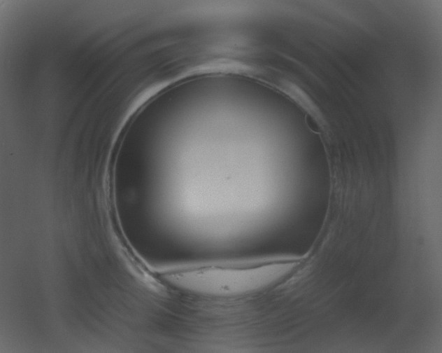 X0000053051044200507111121