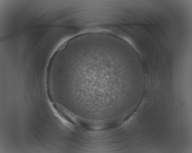 X0000053051046200507111121