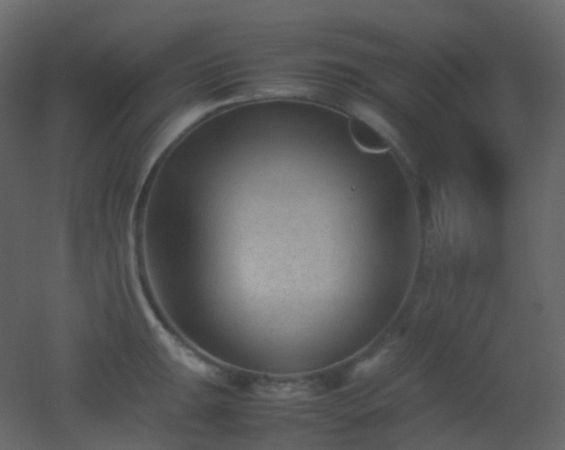 X0000053051047200507111121