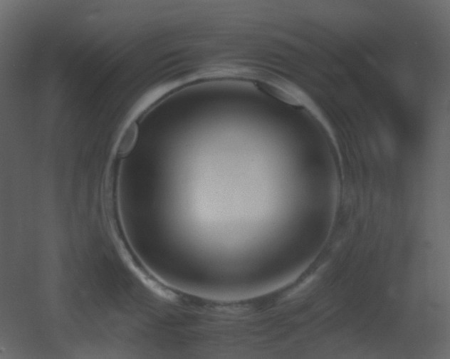 X0000053051053200507111121