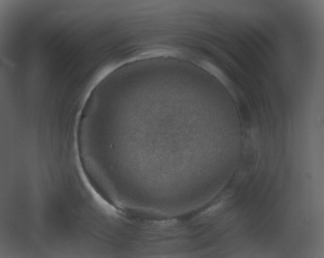 X0000053051055200507111121