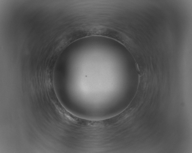 X0000053051058200507111120